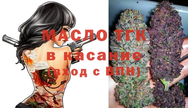 амф Вяземский